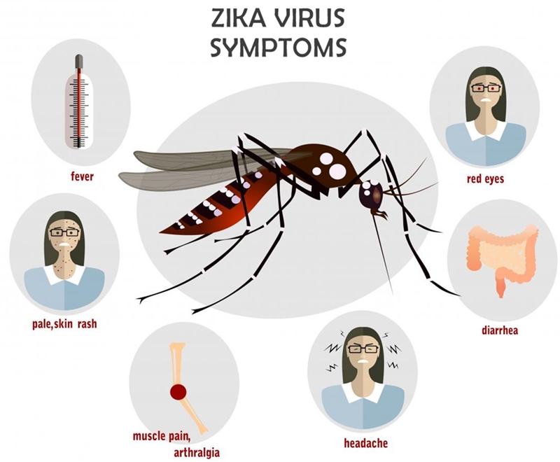 zika virus - symptoms , treatment , prevention